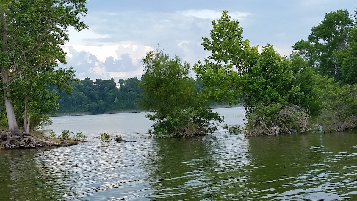 Barren River Lake