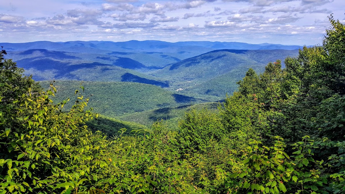 Pine Hill - West Branch Trail