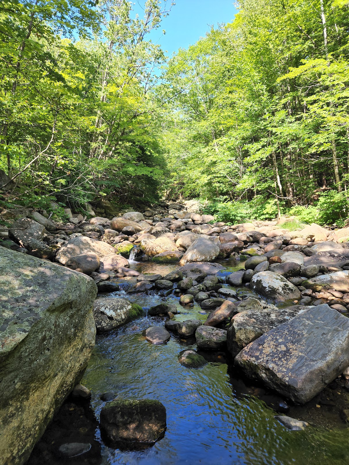 Stinson Brook
