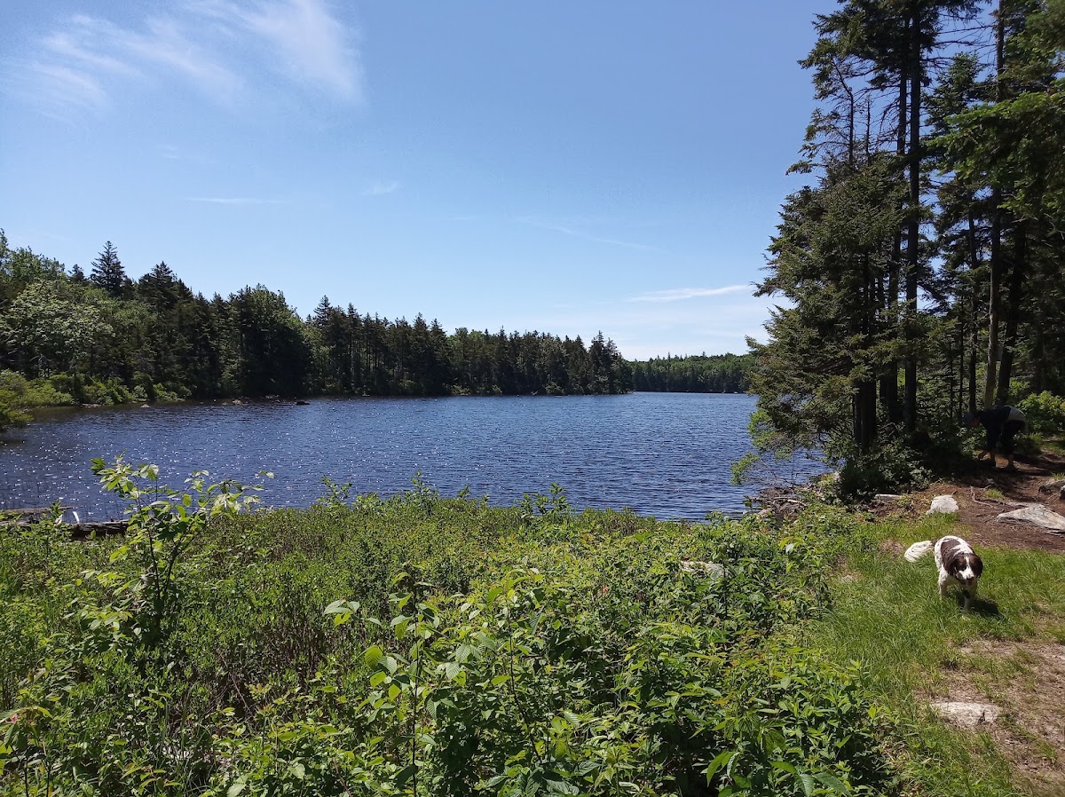 Griffith Lake