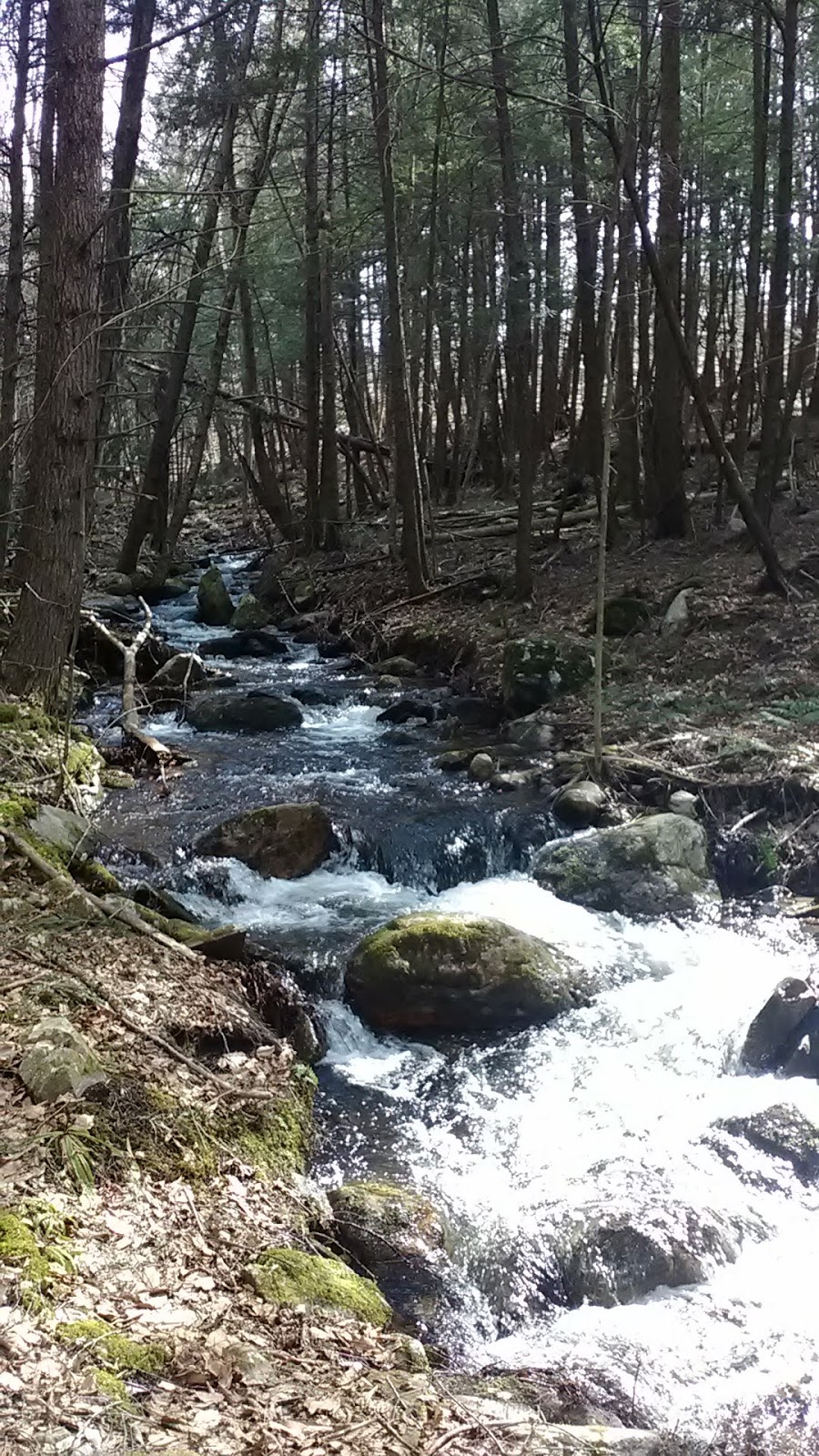 Griffith Lake Trail