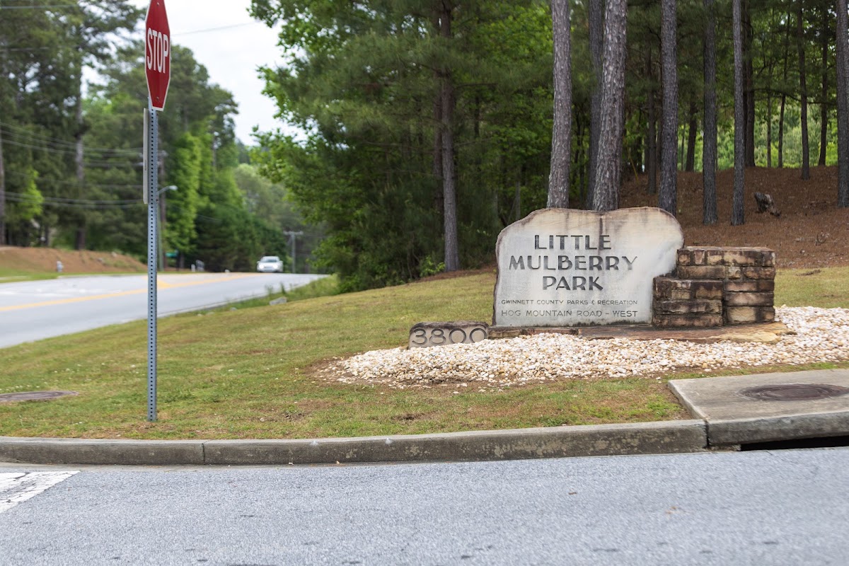 Little Mulberry Park