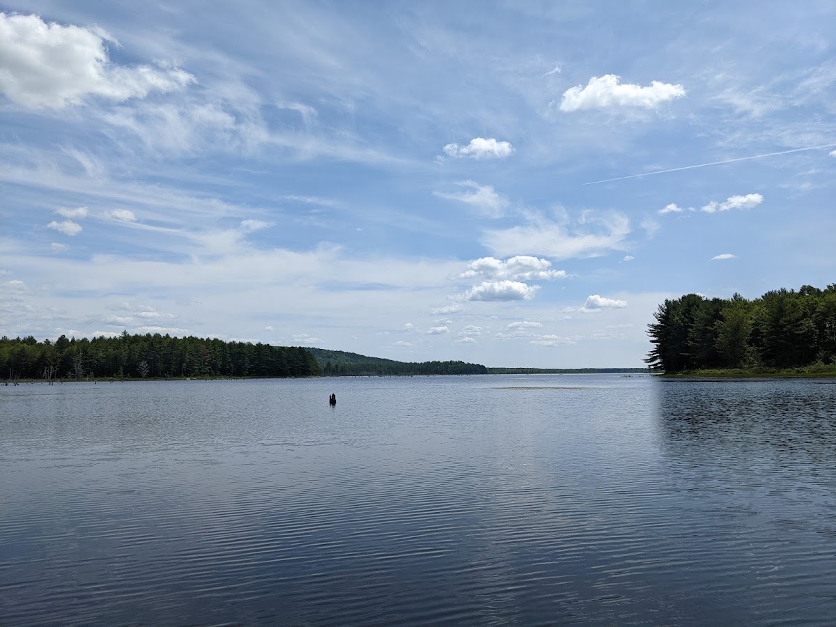 Bog Brook Flowage