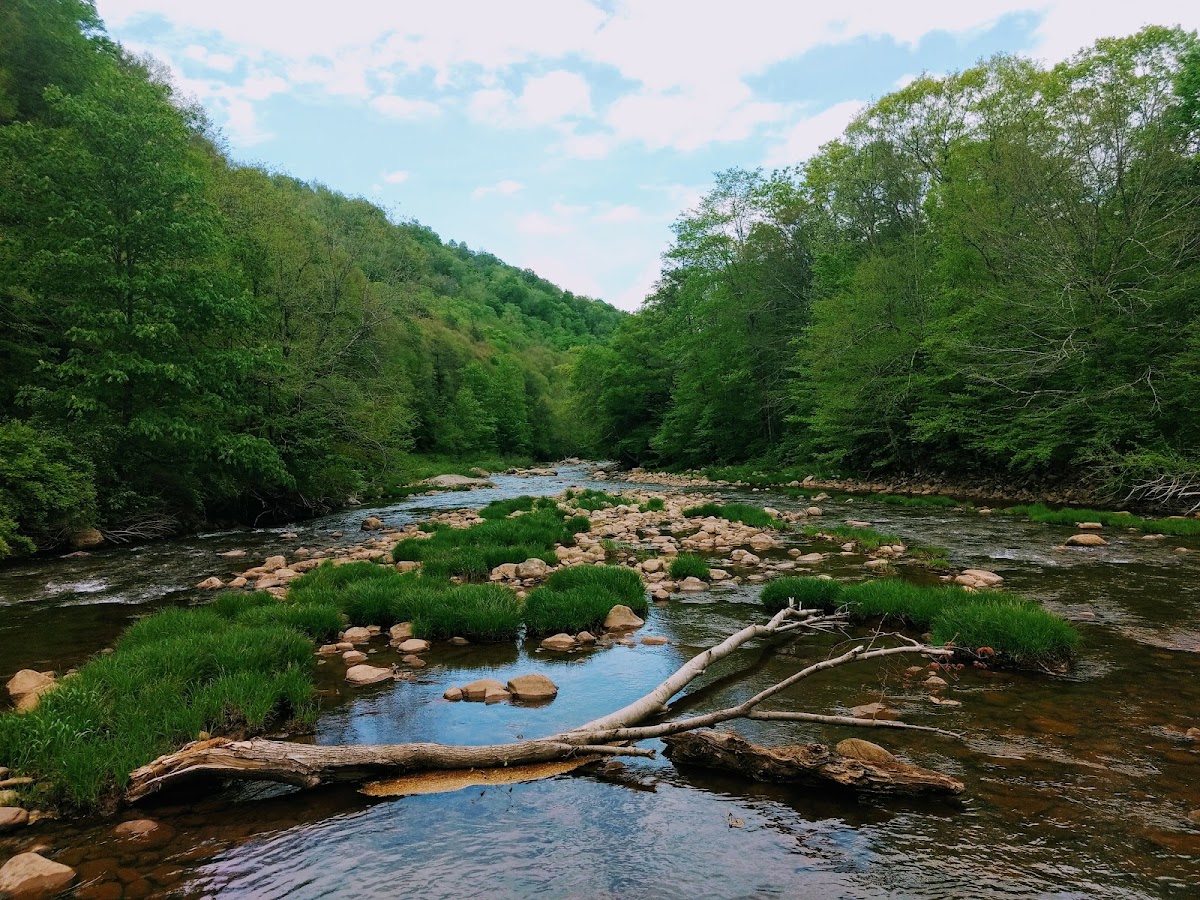 Williams River
