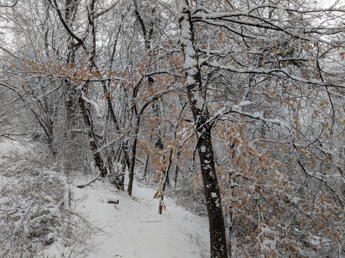 Chestnut Hill Trail