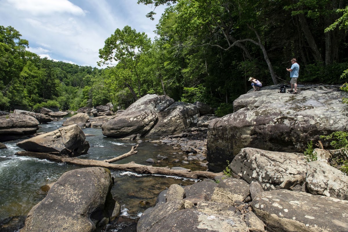 Meadow River