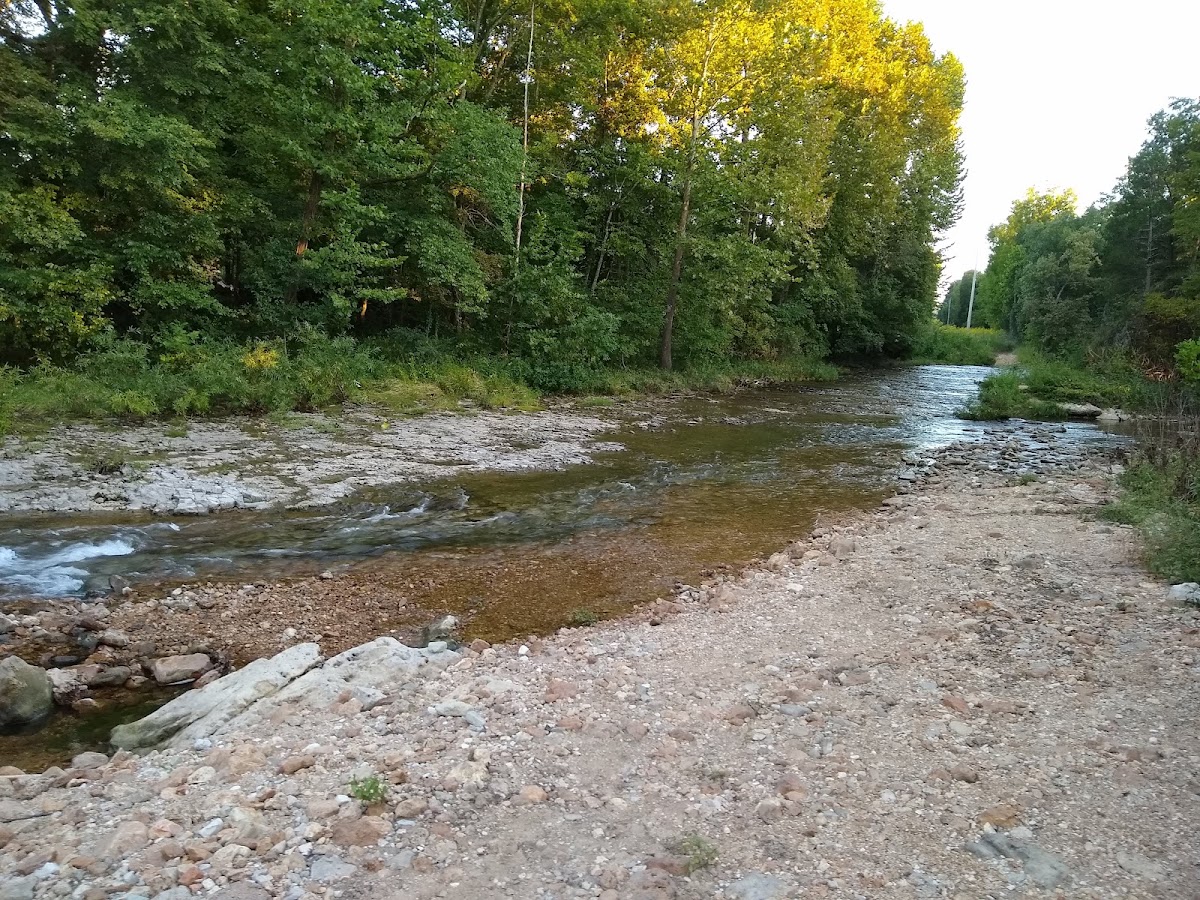 Saline Creek