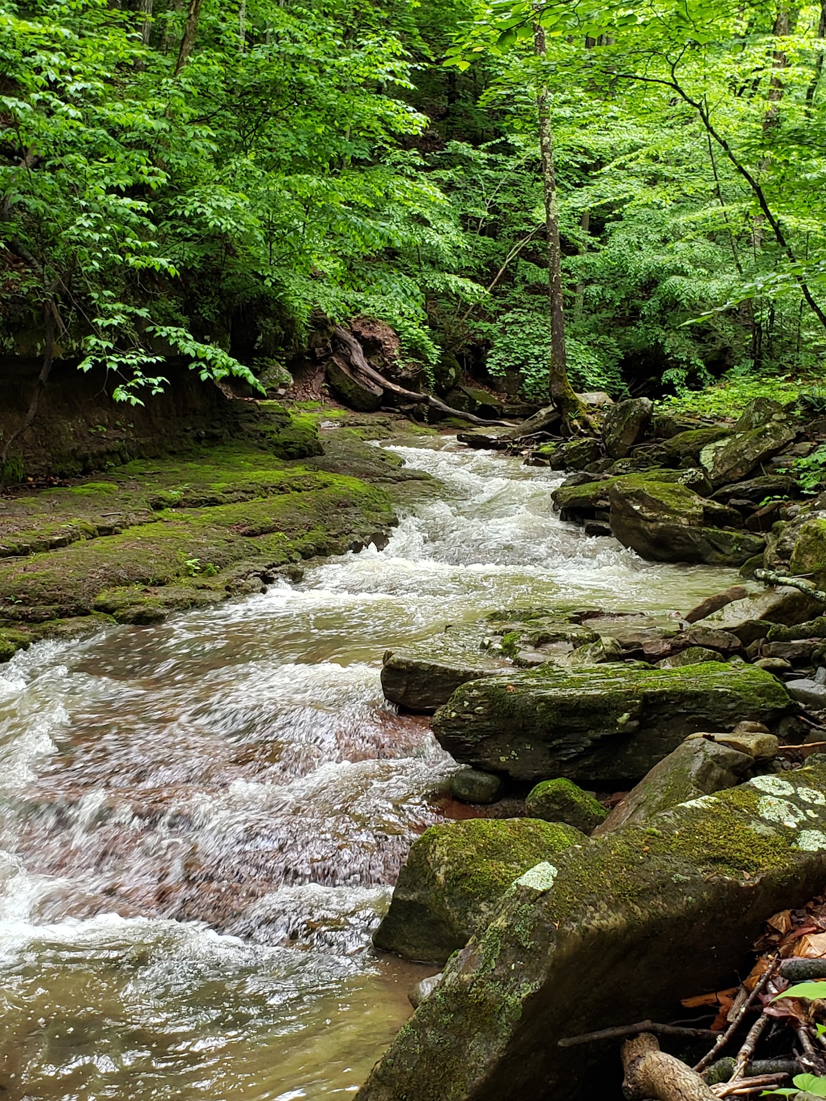 Bluestone River