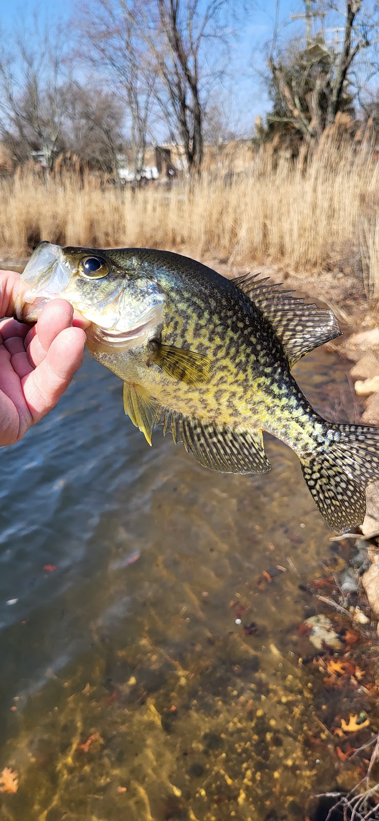 Hammonton Lake