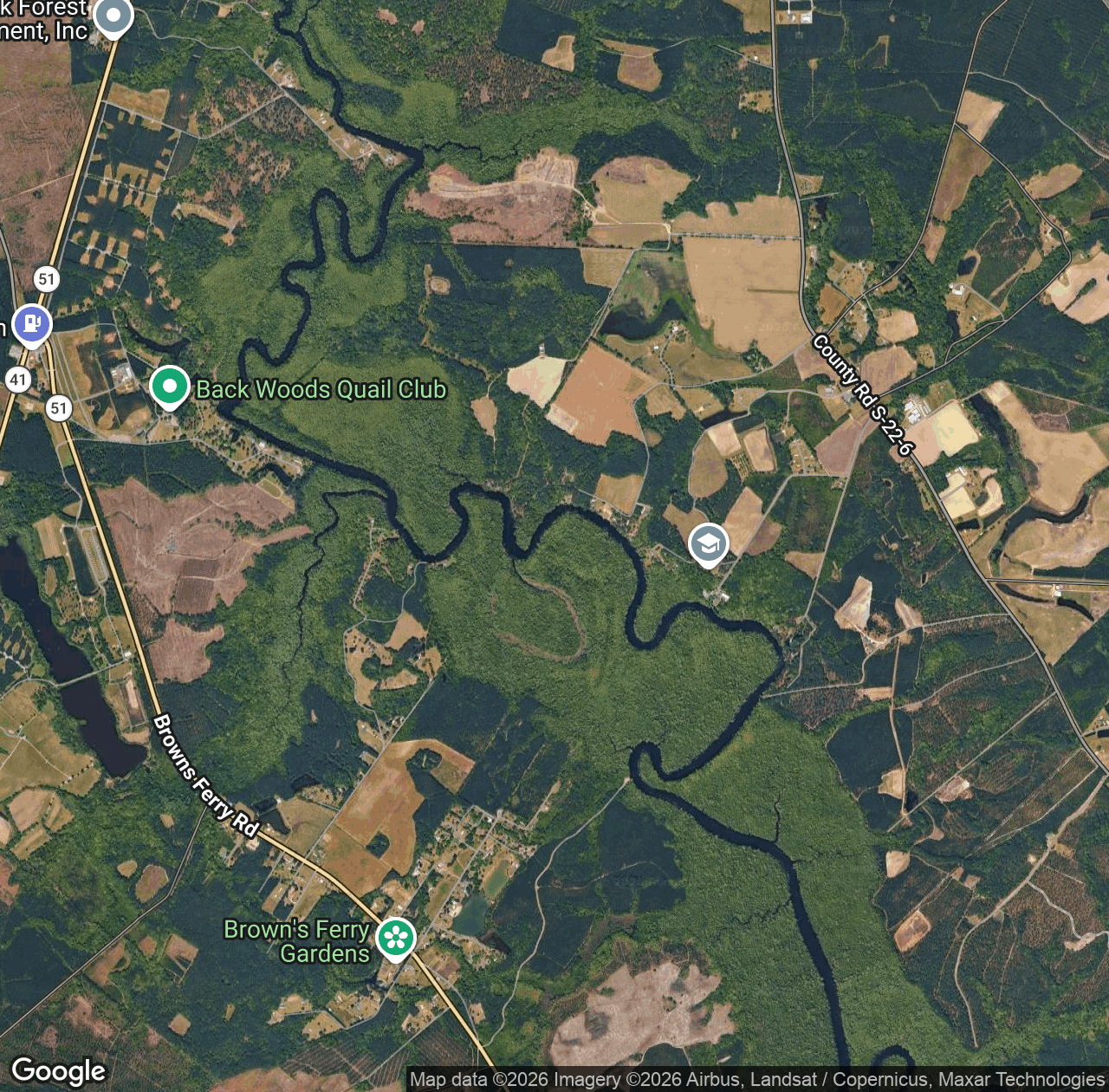 Black Mingo Creek