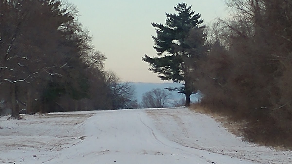 Fleming Park