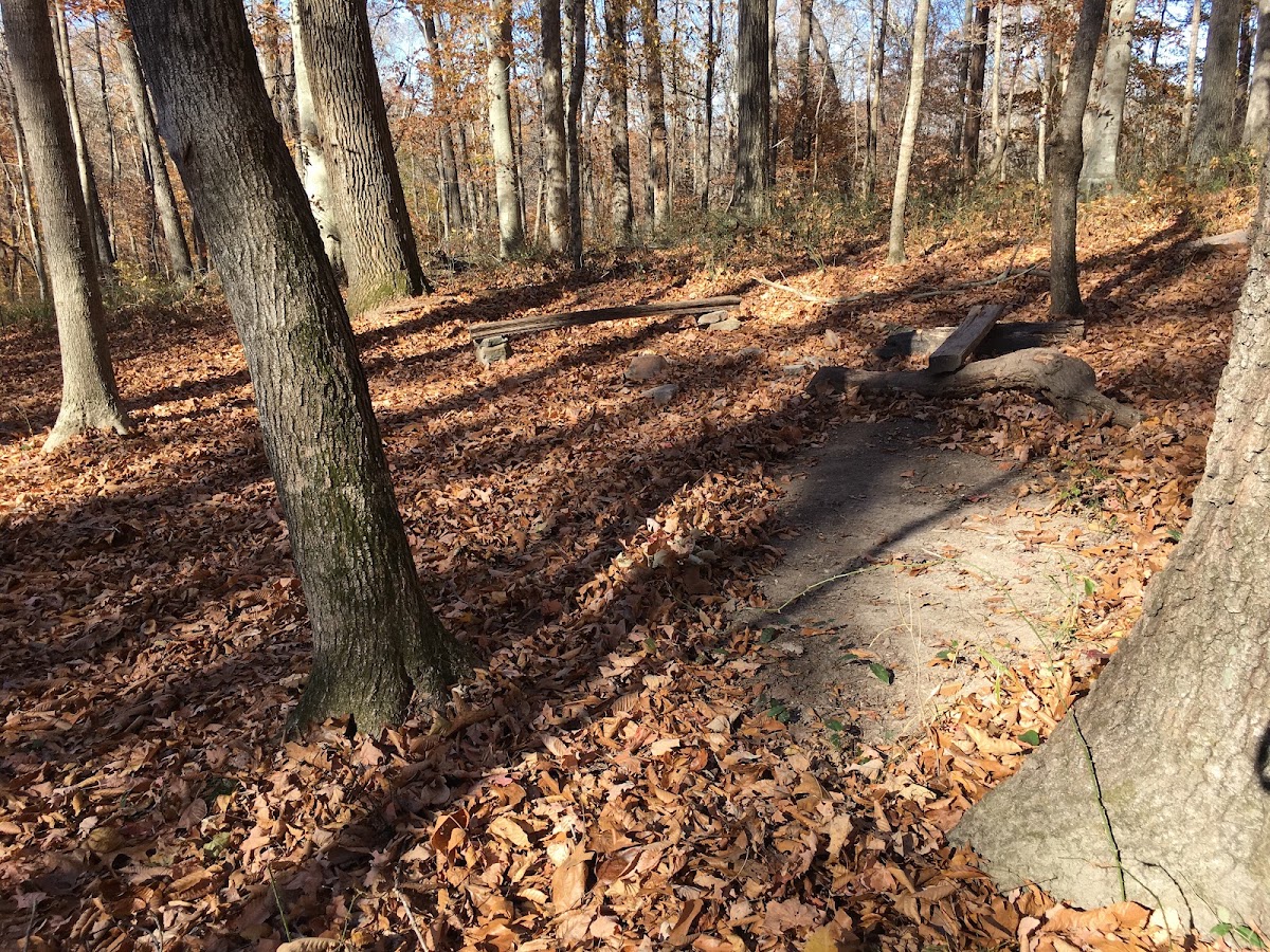 Sal Hollow Trail