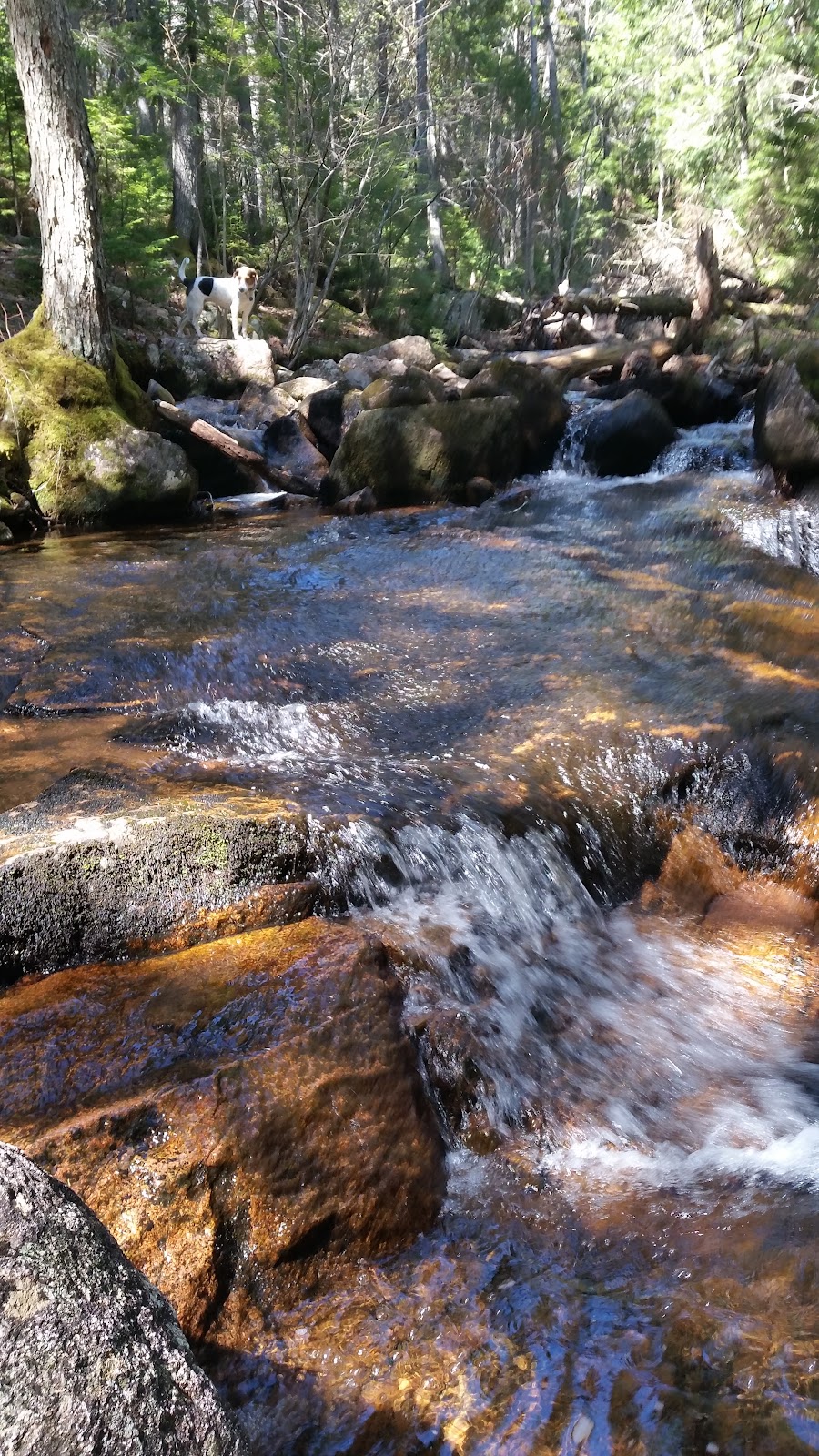 Jordan Stream