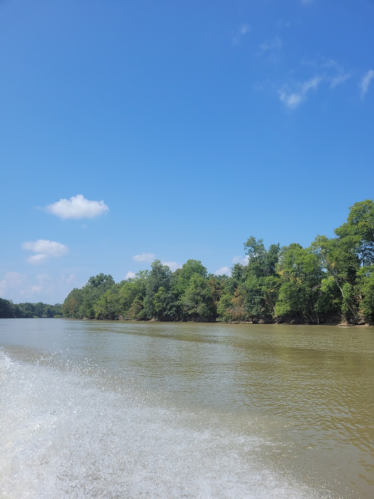 Auglaize River