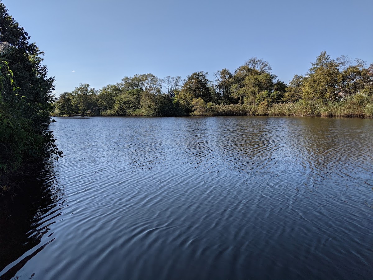 Wreck Pond