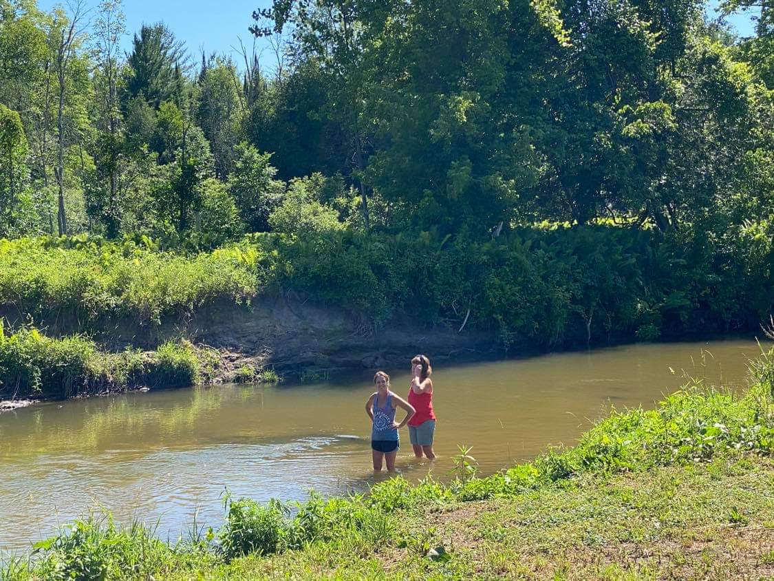 Roy Creek