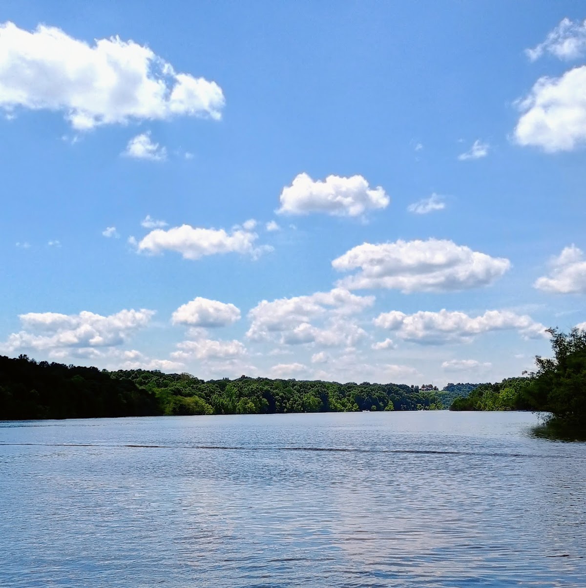 Rough River Lake