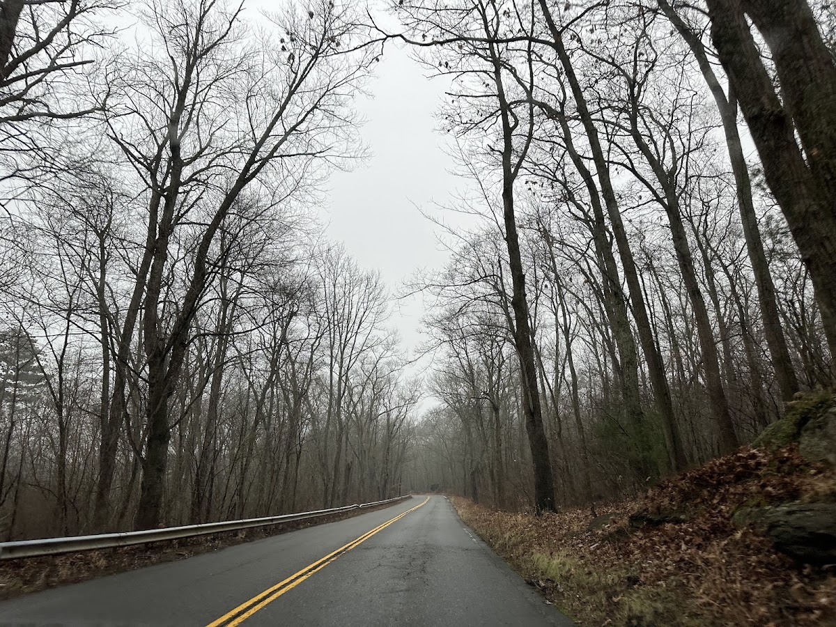 Coy Hill Wildlife Management Area