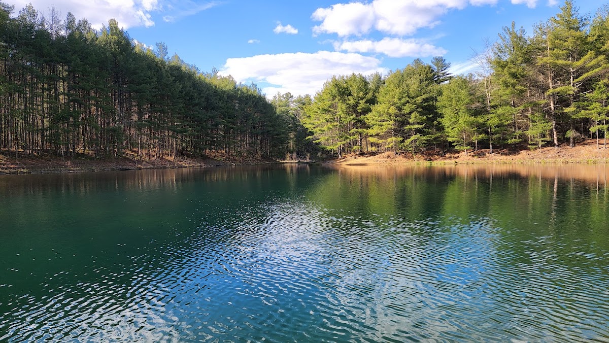 Leadmine Mountain Wildlife Conservation Easement