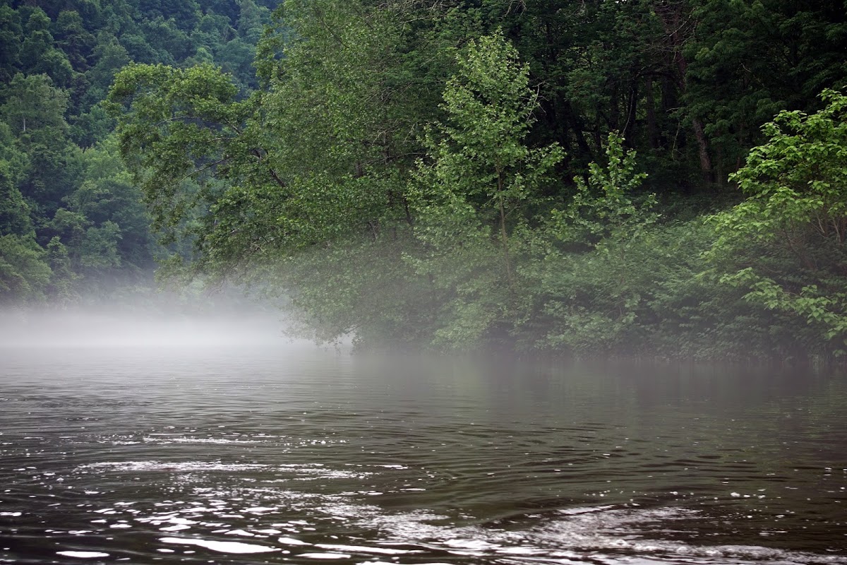 Cheat RIver