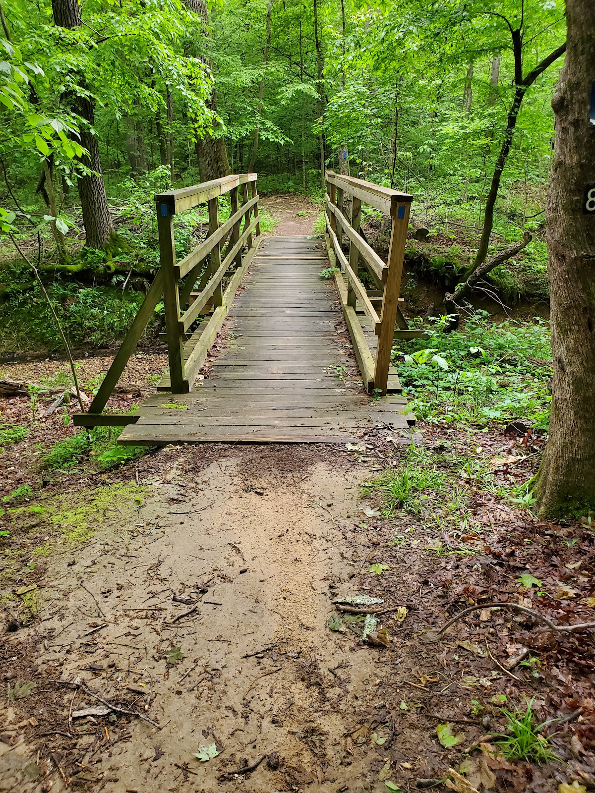 Canal Loop Trail