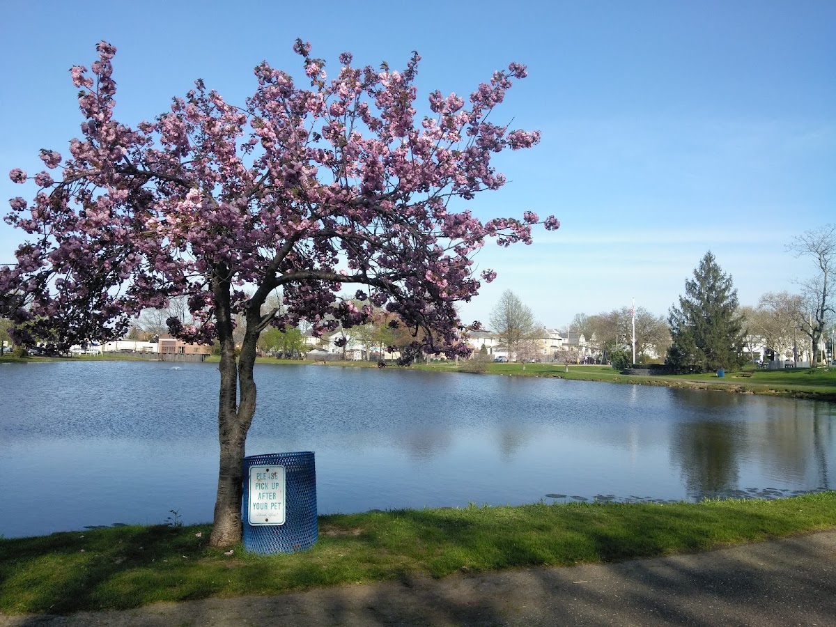South River