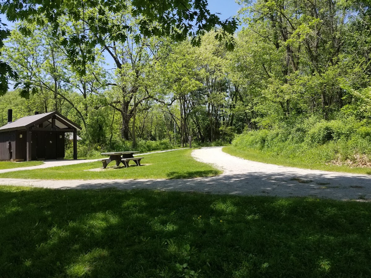 Back Path