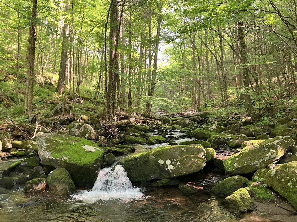 Huntington State Forest