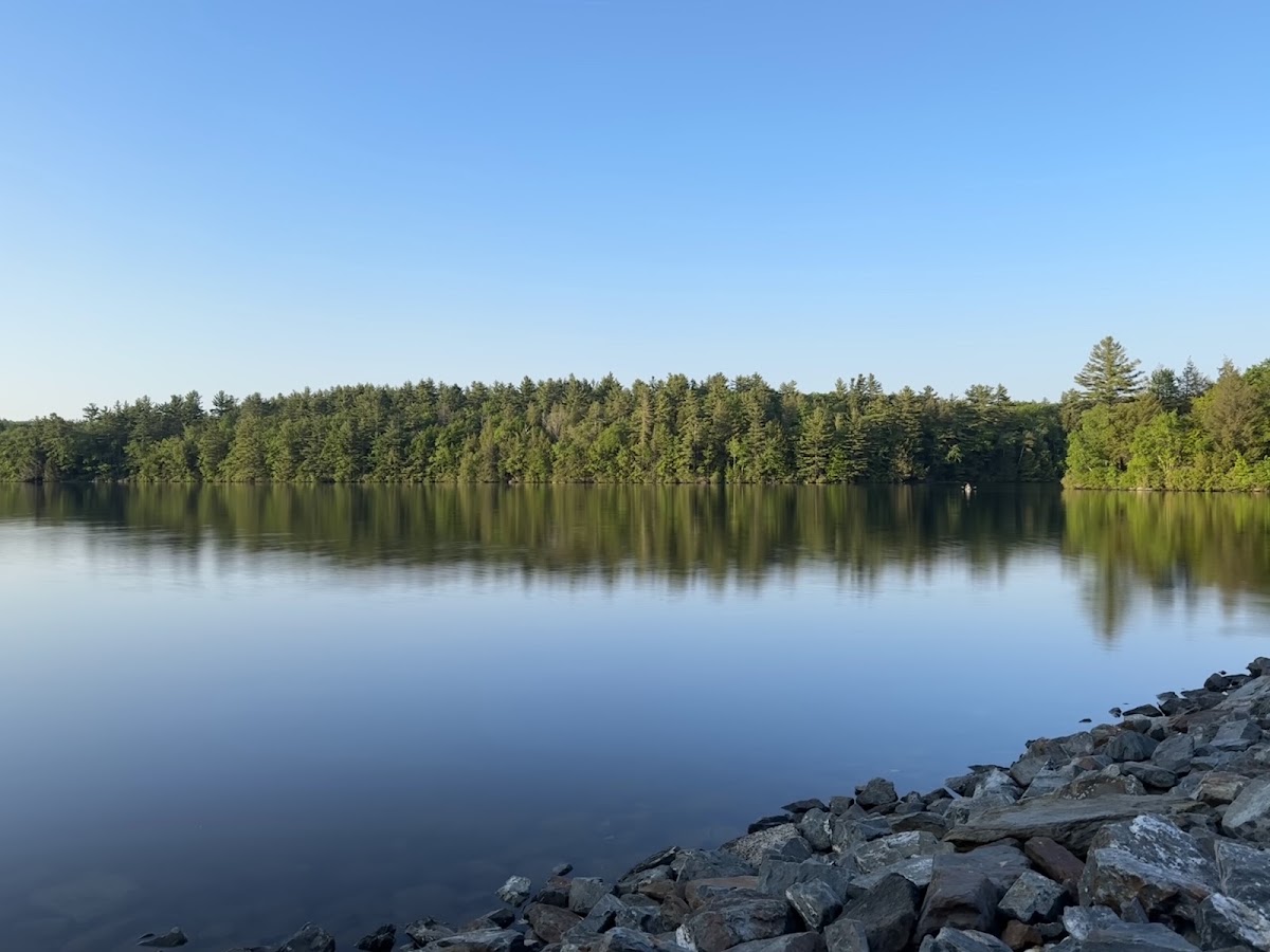 D.A.R. State Forest