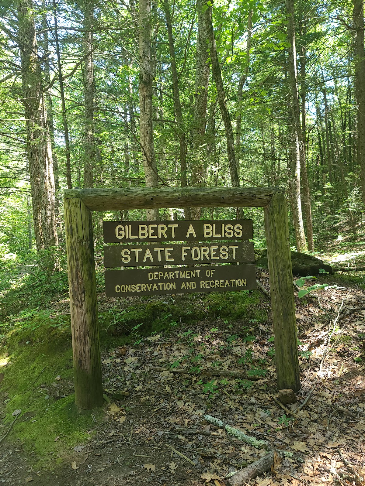 Gilbert A. Bliss State Forest
