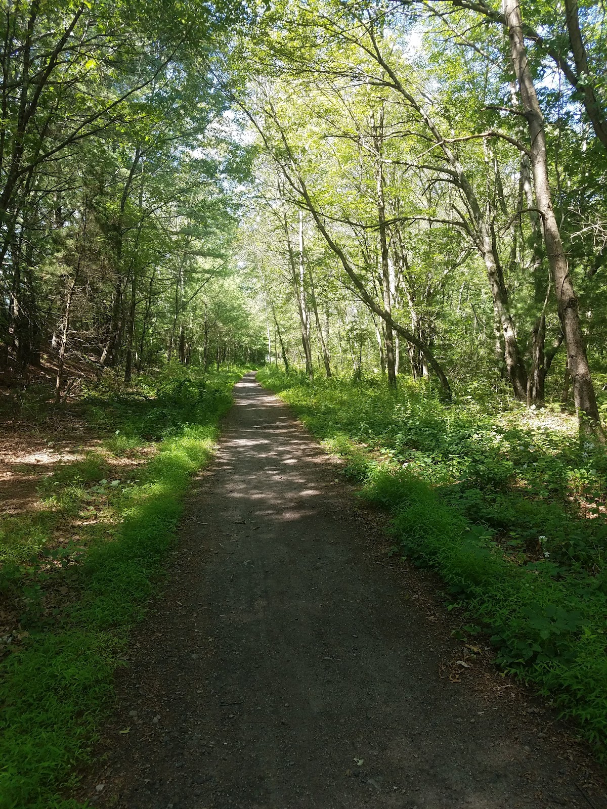 Franklin State Forest