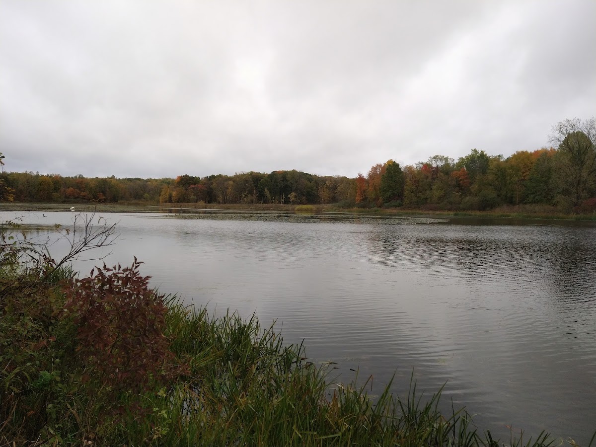 Worster Lake