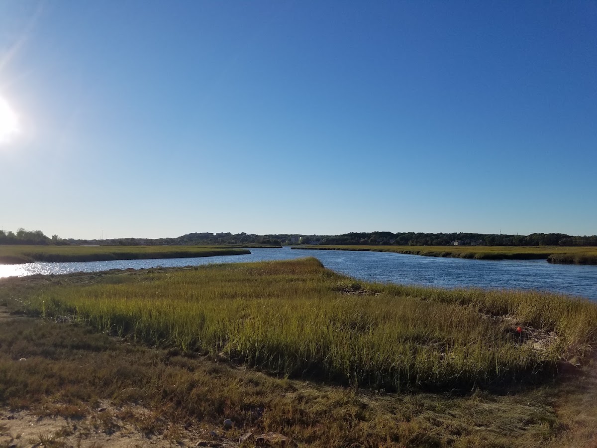Sea Plane Basin