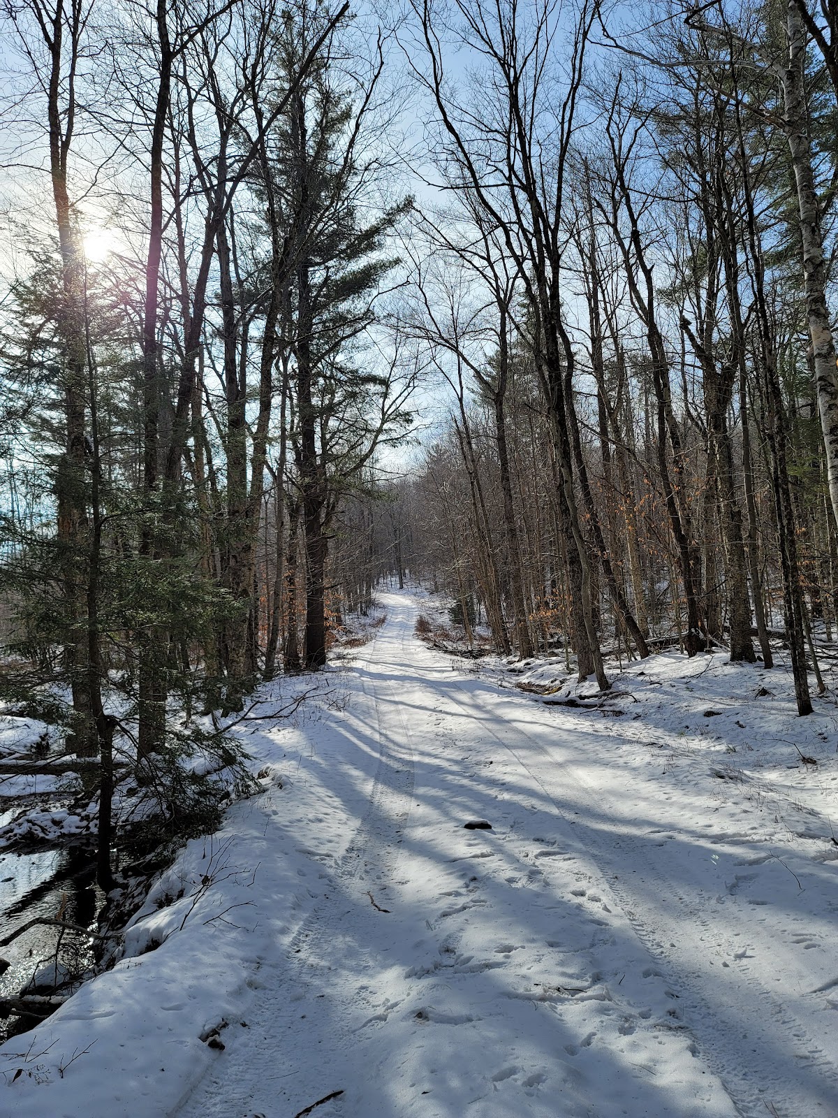 Peru State Forest