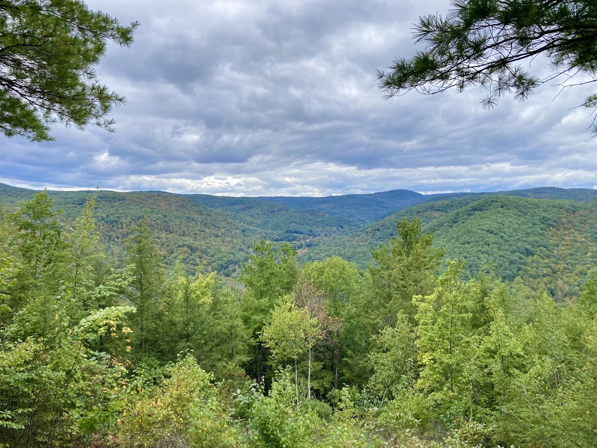 Chester-Blandford State Forest