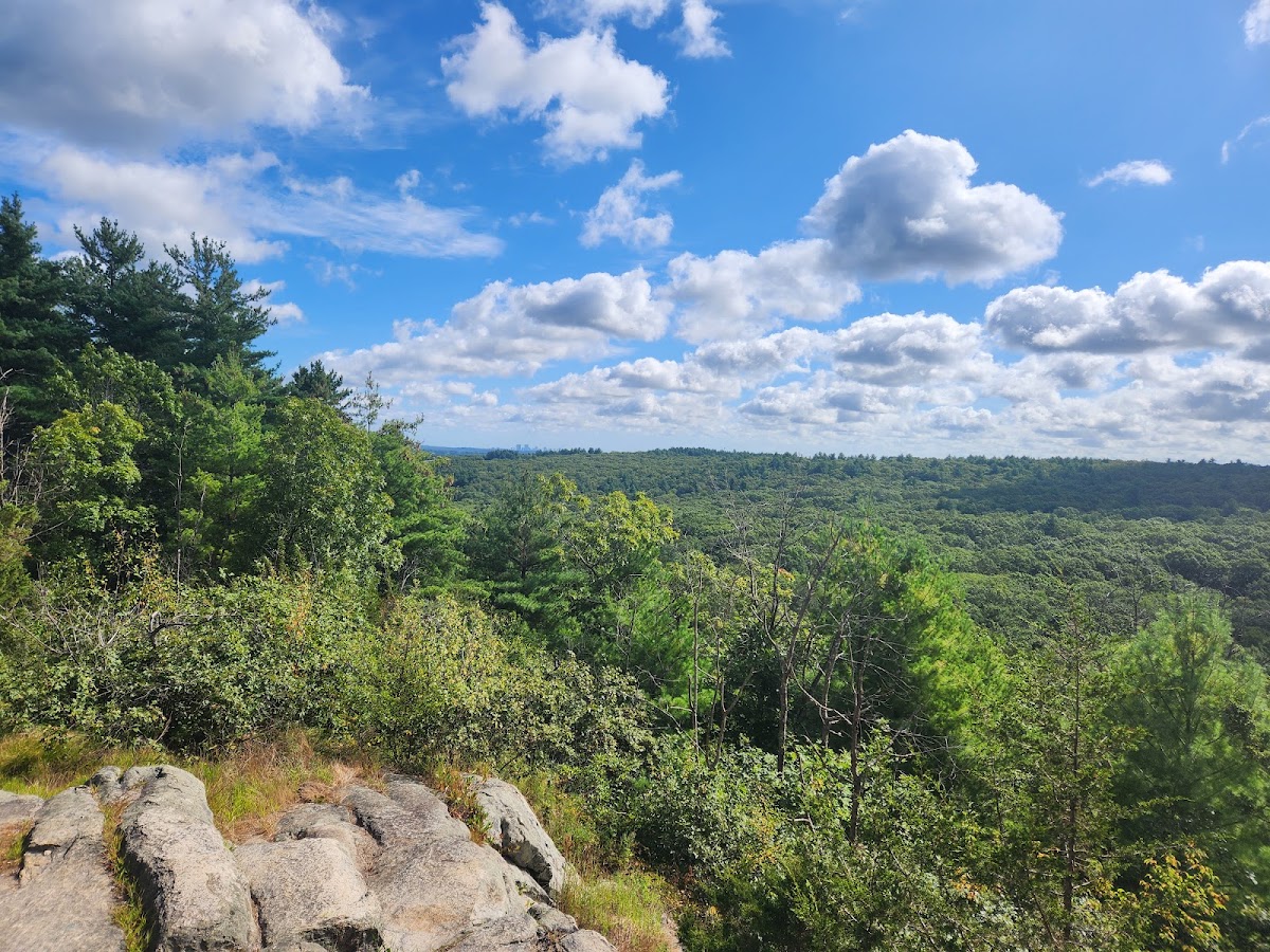 Noanet Woodlands