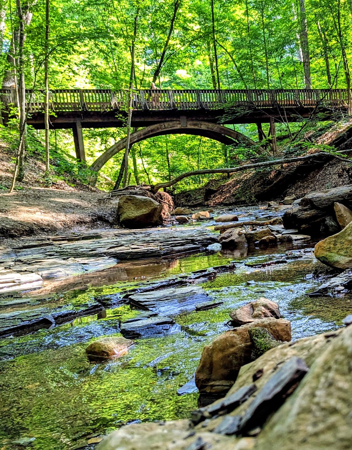 Highbanks Metro Park