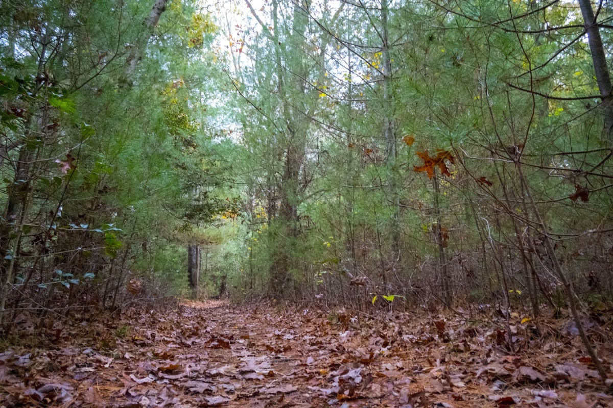 West Barnstable Conservation Area