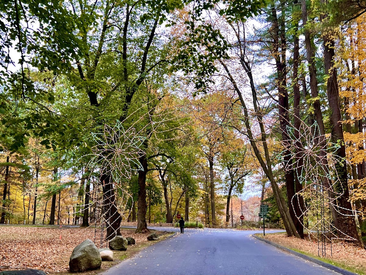 Forest Park
