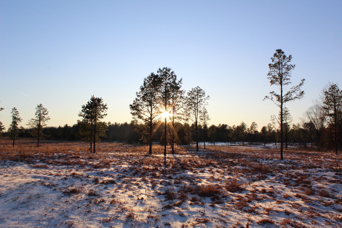 Southwick Wildlife Management Area