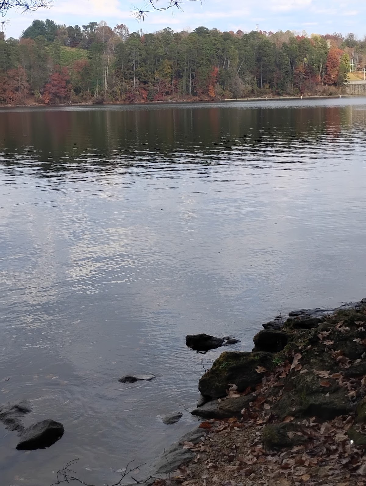 Lake Rhodhiss