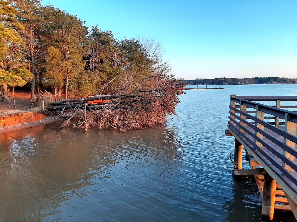 Lake Wylie