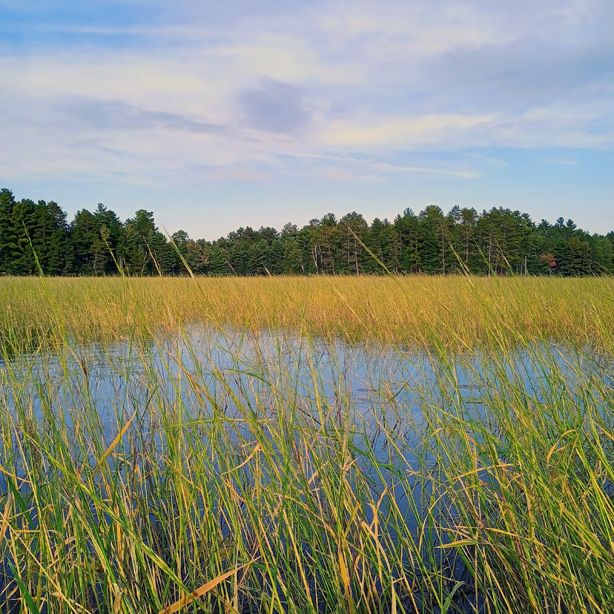 Island Lake