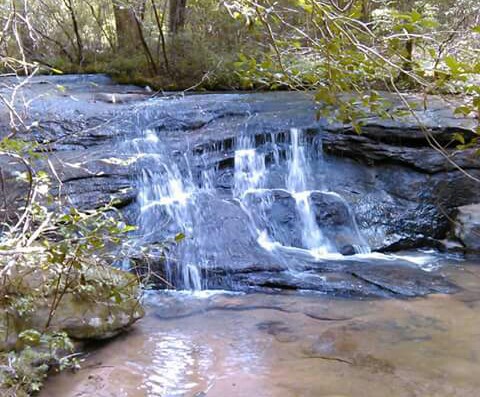 Lower Little River