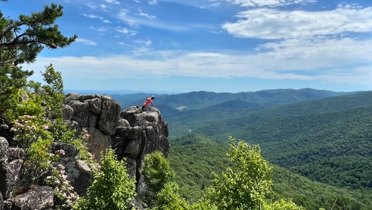 Robertson Mountain Trail