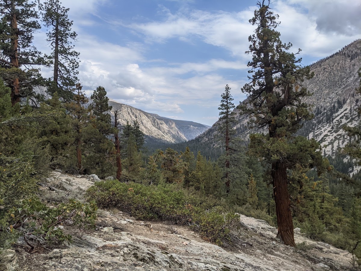 Big Arroyo Trail