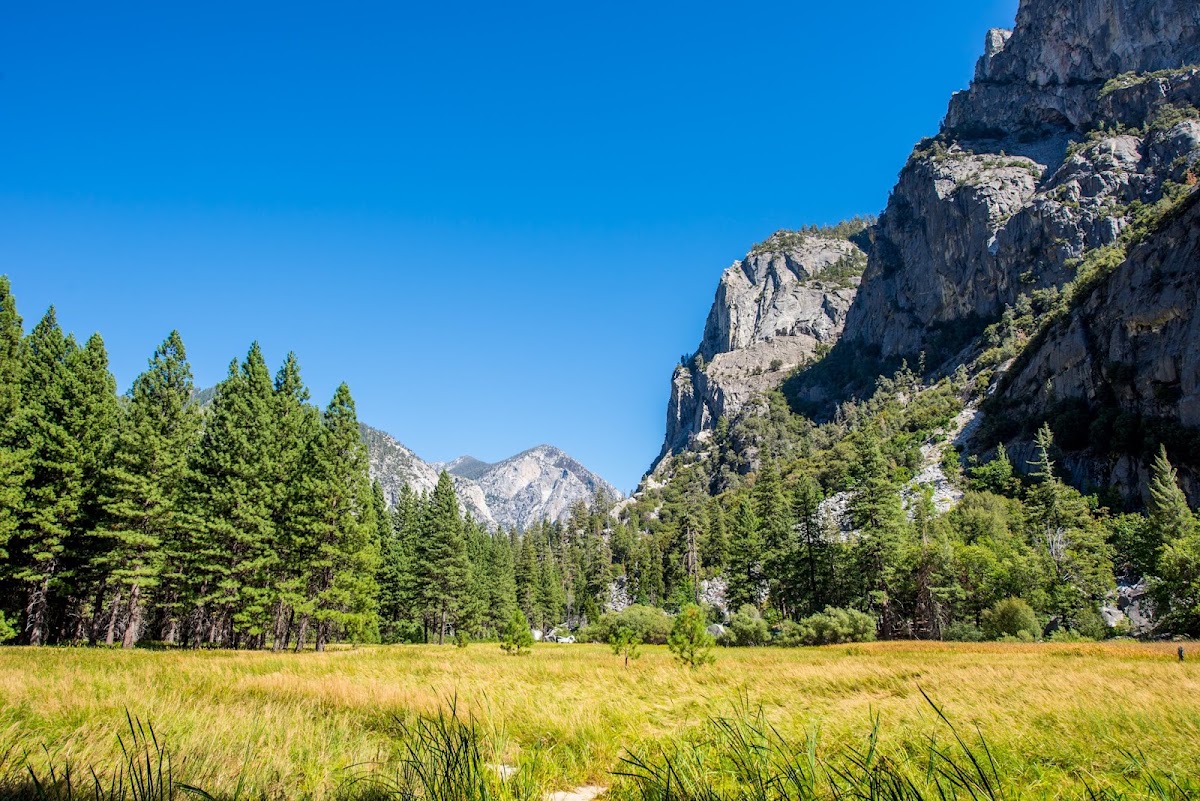 Zumwalt Meadow to Roaring River Falls Trail