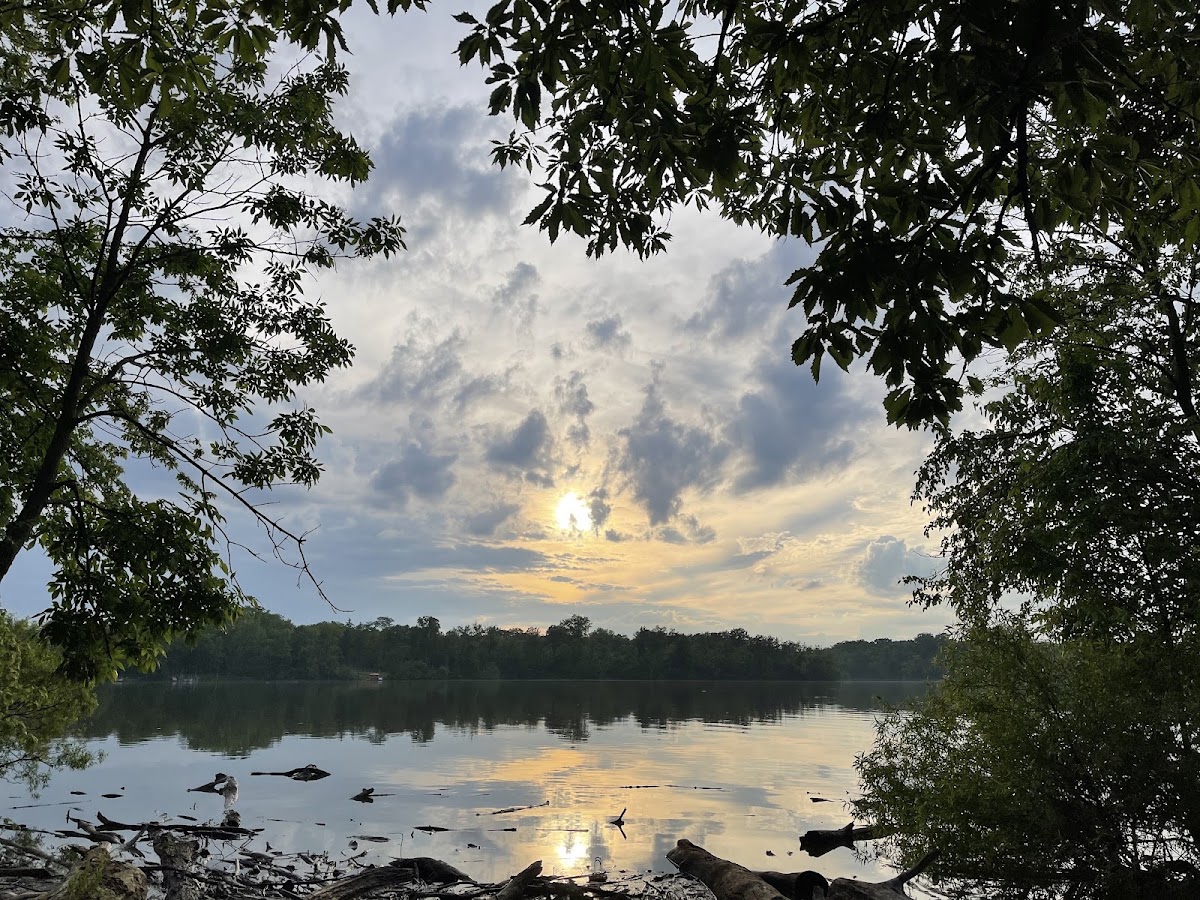 O'Shaughnessy Reservoir