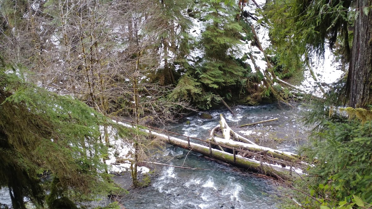 Barnes Creek