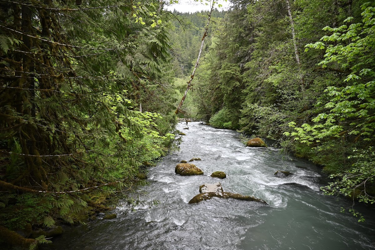 Gray Wolf River